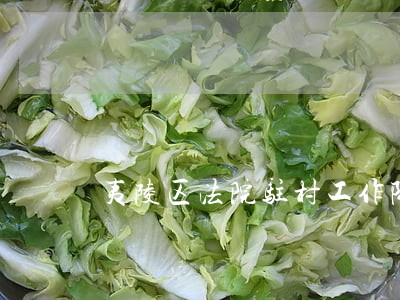 夷陵区法院驻村工作队