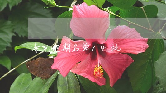 夸克逾期名单14批 夸克逾期名单14批
