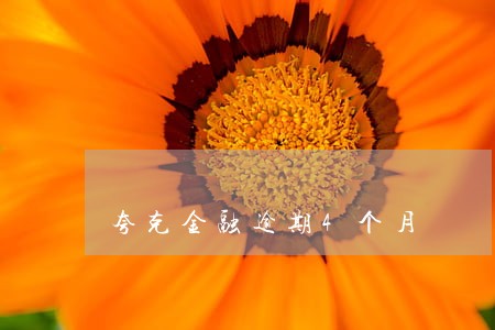 夸克金融逾期4个月 夸克金融逾期4个月