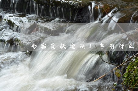夸客货款逾期1年有什么后果 夸客货款逾期1年有什么后果