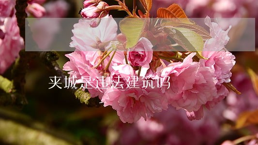 夹城是违法建筑吗 夹城是违法建筑吗
