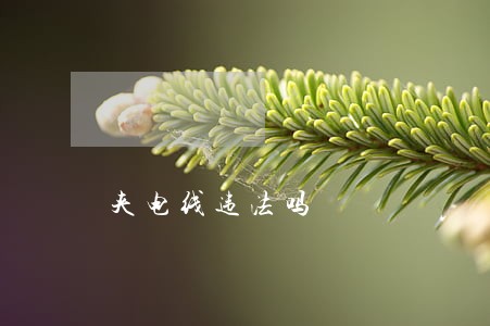 夹电线违法吗 夹电线违法吗