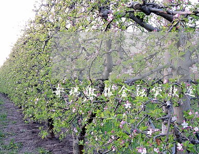 奇瑞徽银金融贷款逾期 奇瑞徽银金融贷款逾期