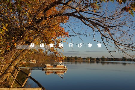 奇瑞金融只还本金 奇瑞金融只还本金