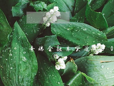 奇瑞金融车贷逾期30天 奇瑞金融车贷逾期30天
