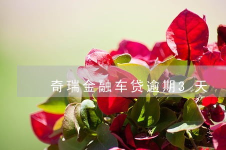 奇瑞金融车贷逾期3天 奇瑞金融车贷逾期3天