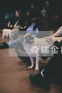 奇瑞金融逾期25天 奇瑞金融逾期25天