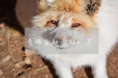 奇瑞金融逾期4万 奇瑞金融逾期4万
