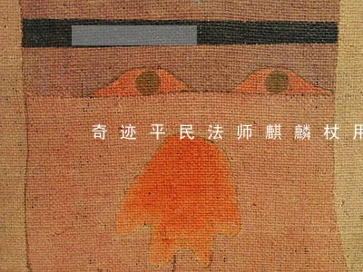 奇迹平民法师麒麟杖用什么属性的 奇迹平民法师麒麟杖用什么属性的