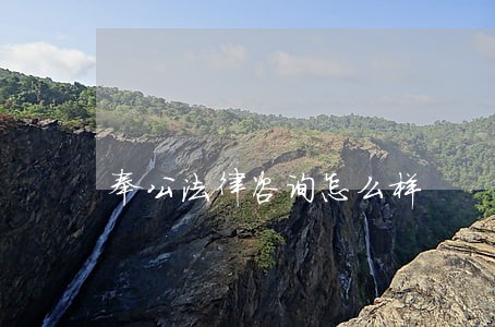 奉公法律咨询怎么样 奉公法律咨询怎么样