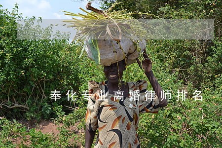 奉化专业离婚律师排名 奉化专业离婚律师排名