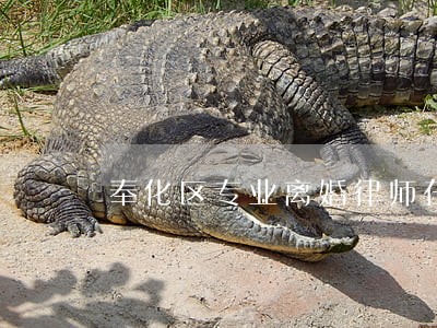 奉化区专业离婚律师在线咨询 奉化区专业离婚律师在线咨询