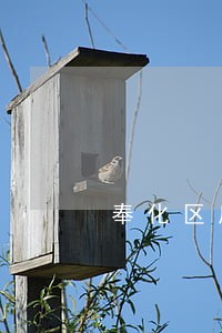 奉化区房产律师网 奉化区房产律师网