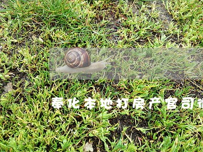 奉化本地打房产官司律师咨询平台 奉化本地打房产官司律师咨询平台