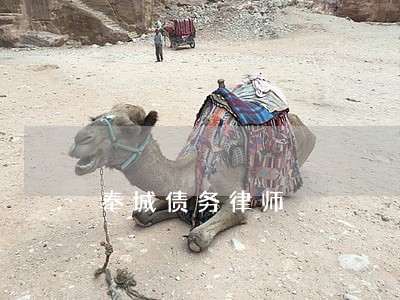奉城债务律师