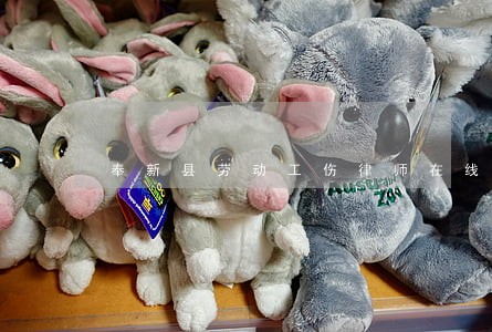 奉新县劳动工伤律师在线咨询 奉新县劳动工伤律师在线咨询