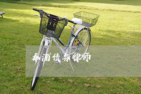 奉浦债务律师 奉浦债务律师