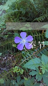 奉节专业法律咨询服务费 奉节专业法律咨询服务费