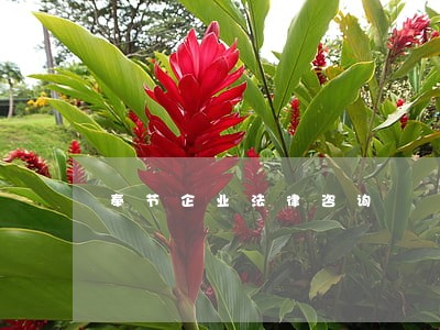 奉节企业法律咨询 奉节企业法律咨询