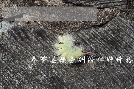 奉节县债务纠纷律师价格 奉节县债务纠纷律师价格
