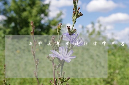 奉节县投资理财律师排名 奉节县投资理财律师排名