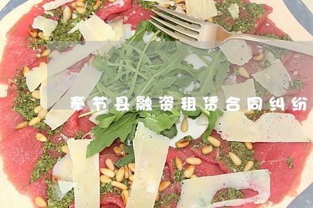 奉节县融资租赁合同纠纷律师