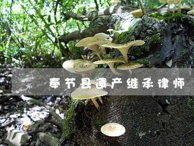 奉节县遗产继承律师 奉节县遗产继承律师