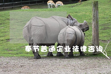 奉节普通企业法律咨询 奉节普通企业法律咨询