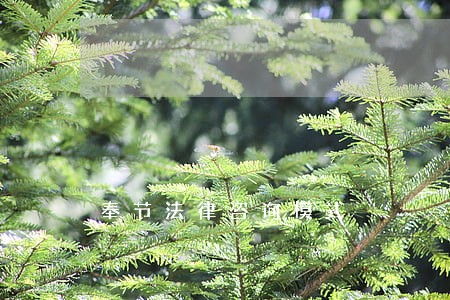 奉节法律咨询模式 奉节法律咨询模式