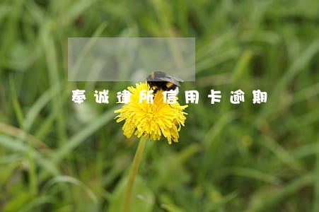 奉诚律所信用卡逾期 奉诚律所信用卡逾期
