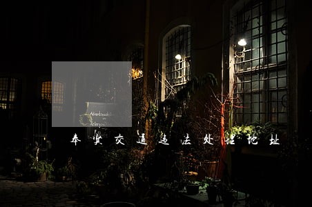 奉贤交通违法处理地址 奉贤交通违法处理地址