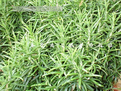 奉贤侵占罪律师找谁 奉贤侵占罪律师找谁