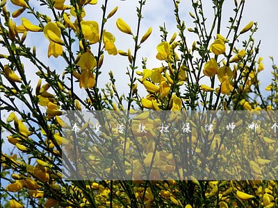 奉贤借款担保律师哪个好 奉贤借款担保律师哪个好