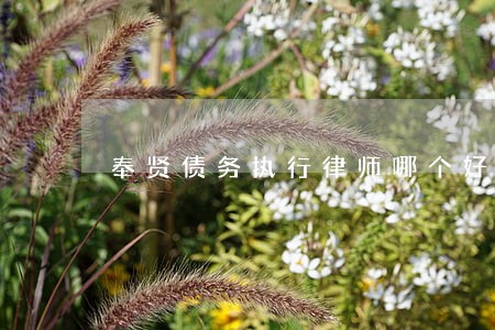 奉贤债务执行律师哪个好 奉贤债务执行律师哪个好