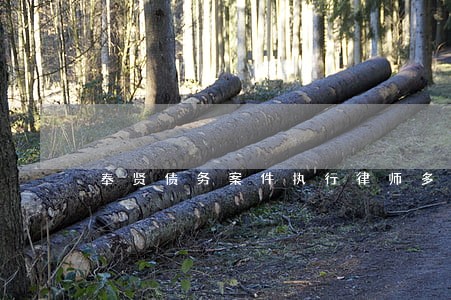 奉贤债务案件执行律师多少钱