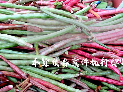 奉贤债务案件执行律师有哪些 奉贤债务案件执行律师有哪些