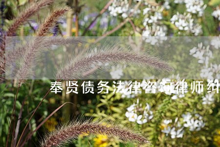 奉贤债务法律咨询律师纠纷 奉贤债务法律咨询律师纠纷