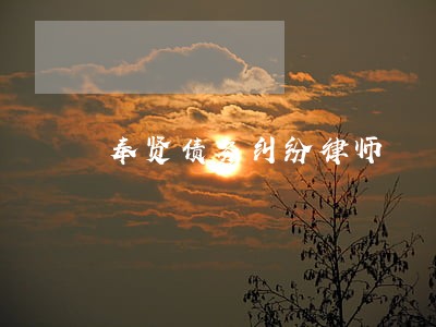 奉贤债务纠纷律师 奉贤债务纠纷律师