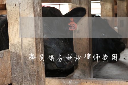 奉贤债务纠纷律师费用 奉贤债务纠纷律师费用