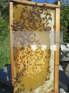 奉贤债务诉讼纠纷律师 奉贤债务诉讼纠纷律师