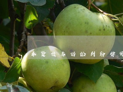 奉贤债务诉讼纠纷律师事务所 奉贤债务诉讼纠纷律师事务所