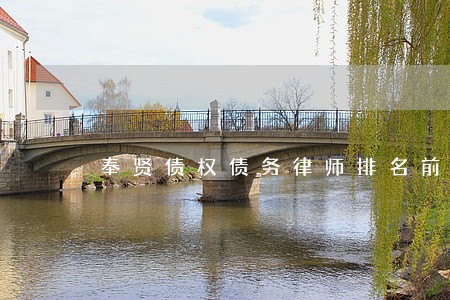 奉贤债权债务律师排名前十位