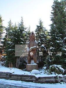 奉贤公司债务律师事务所 奉贤公司债务律师事务所