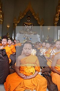 奉贤公司债务律师免费法律咨询 奉贤公司债务律师免费法律咨询