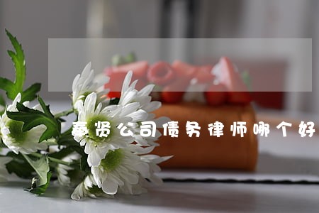 奉贤公司债务律师哪个好 奉贤公司债务律师哪个好