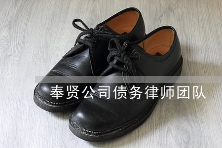 奉贤公司债务律师团队 奉贤公司债务律师团队