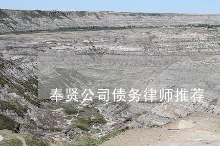奉贤公司债务律师推荐 奉贤公司债务律师推荐