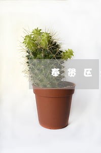 奉贤区业务能力强的债务律师 奉贤区业务能力强的债务律师