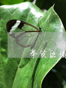 奉贤区债务律师推荐