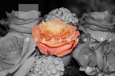 奉贤区债务纠纷诉讼律师费用 奉贤区债务纠纷诉讼律师费用